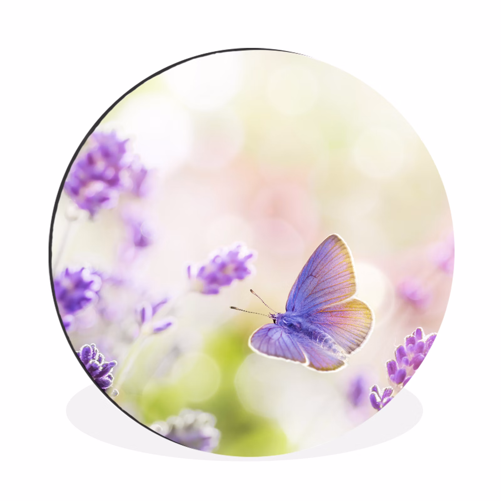 Wandcirkel - Aluminium - Lavendel - Vlinder - Bloemen — 1