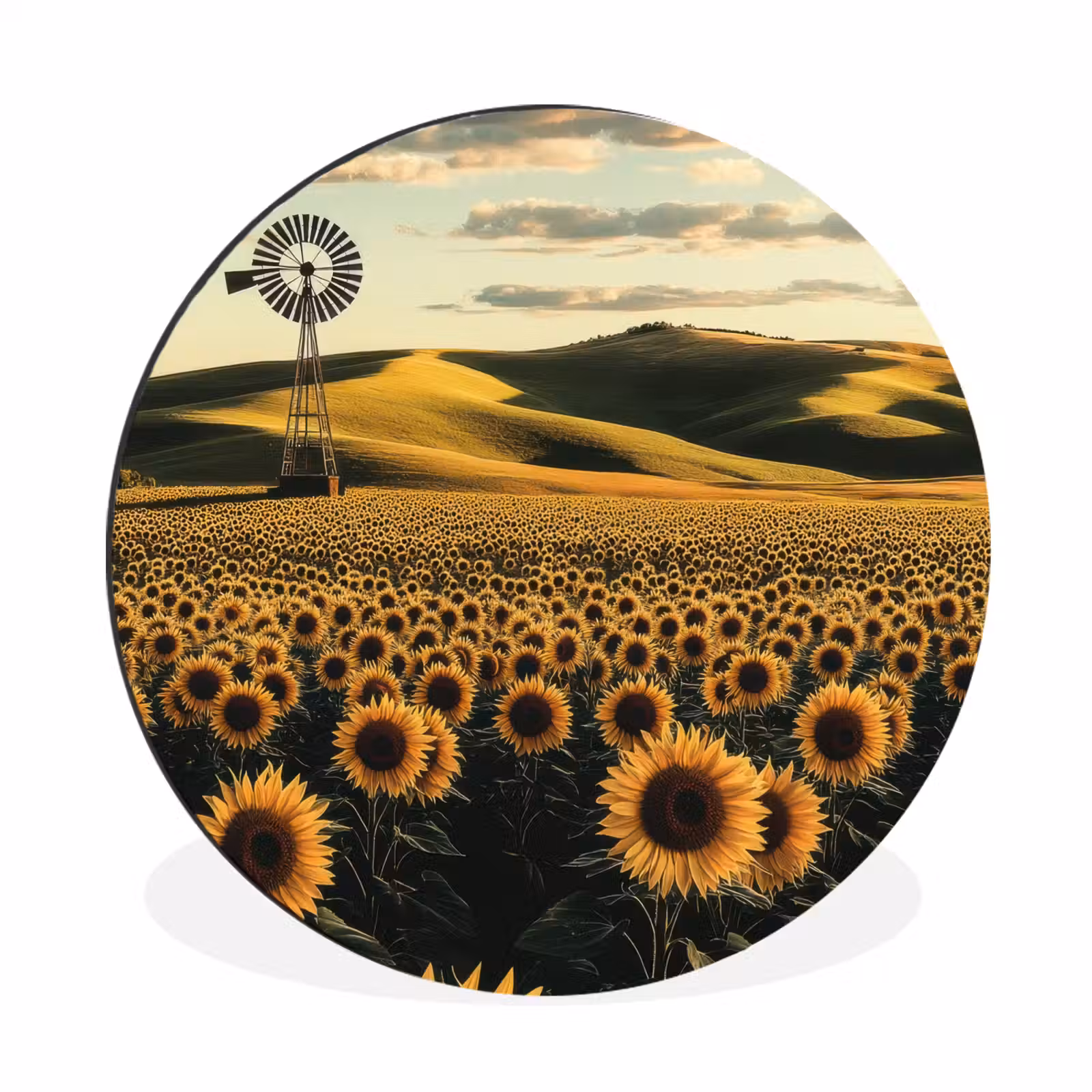 Wandcirkel - Aluminium - Zonnebloem - Veld - Windmolen — 1