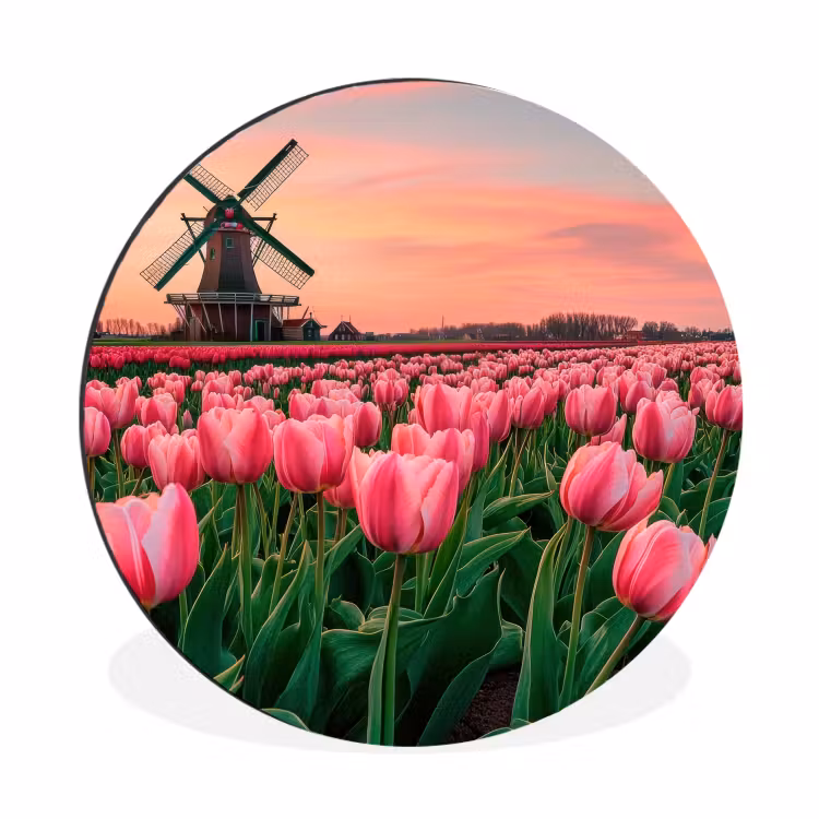 Wandcirkel - Aluminium - Tulpen - Molen - Nederland — 1
