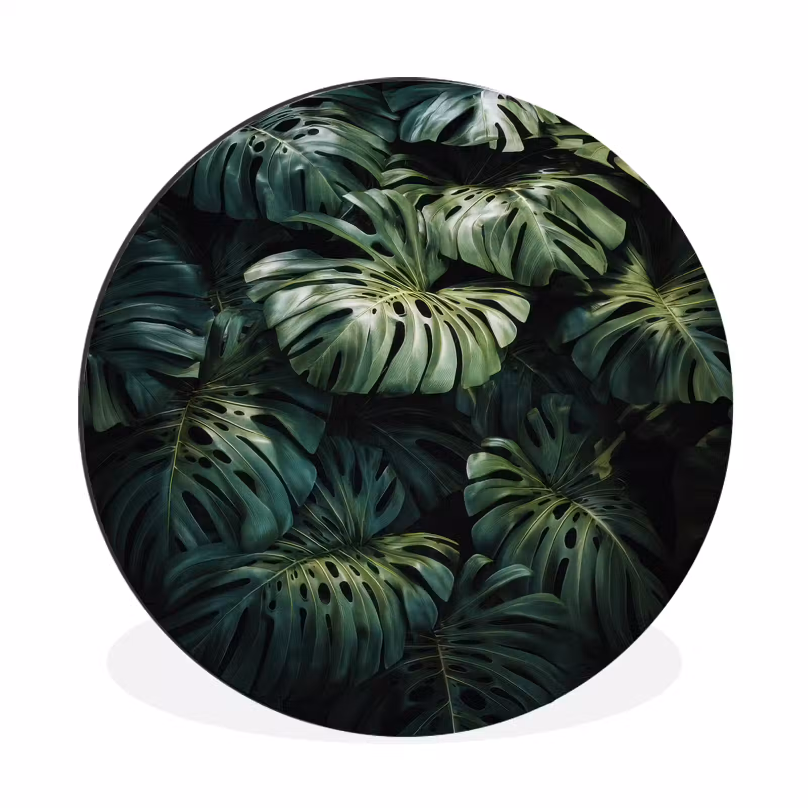 Wandcirkel - Aluminium - Plant - Monstera - Lichtinval — 1