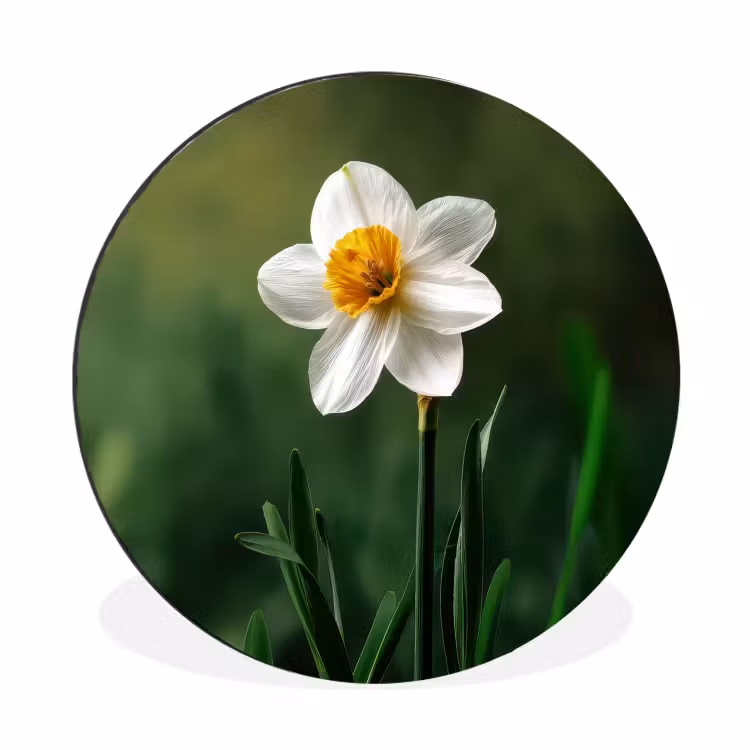 Wandcirkel - Aluminium - Narcis - Bloem - Wit - Grassprieten — 1