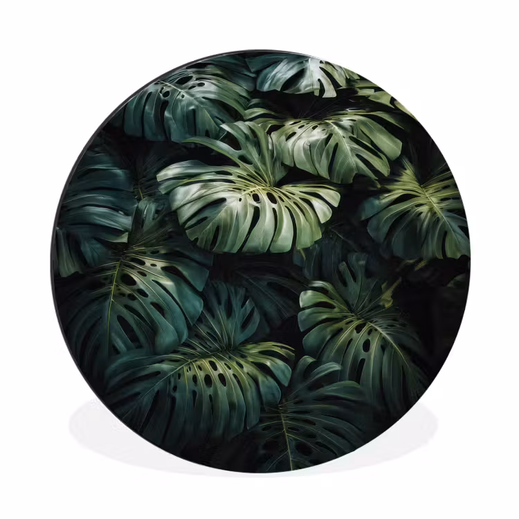 Wandcirkel - Aluminium - Plant - Monstera - Lichtinval — 1