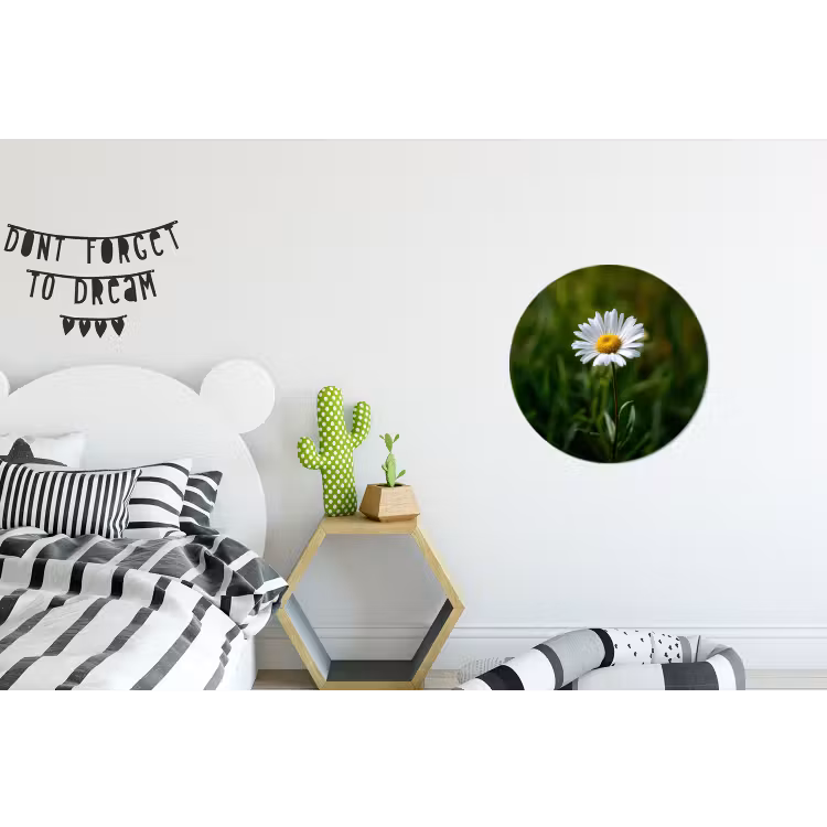Wandcirkel - Aluminium - Wit - Madeliefje - Bloem - Gras — 5