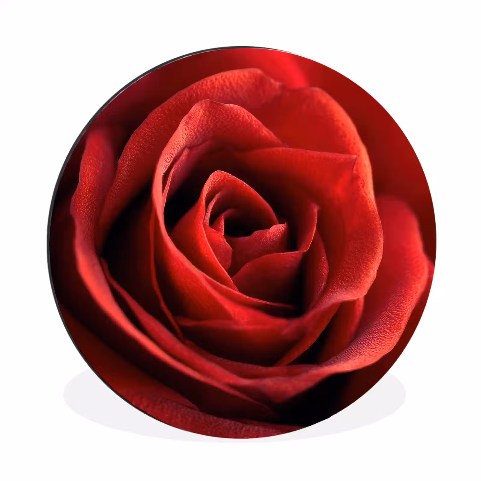 Wandcirkel - Aluminium - Rood - Roos - Romantisch — 1
