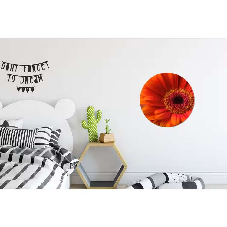 Wandcirkel - Aluminium - Oranje - Gerbera - Intens — 5