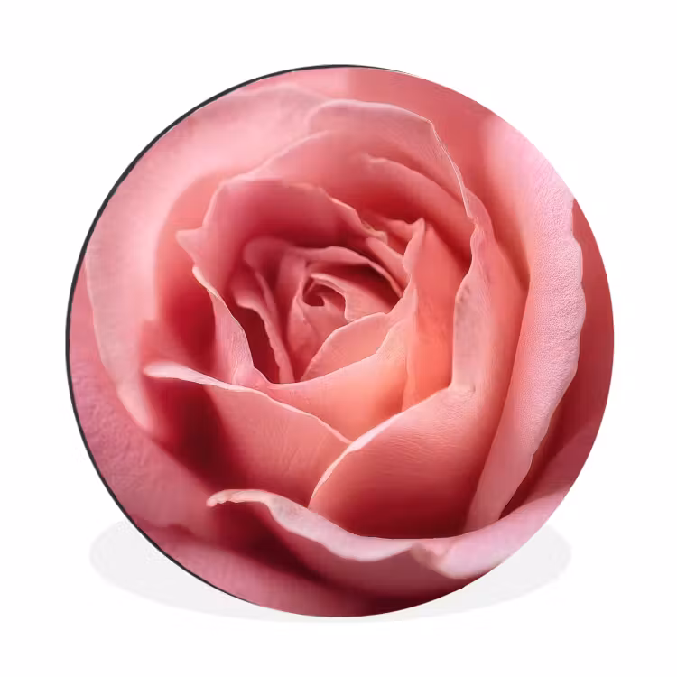 Wandcirkel - Aluminium - Roze - Roos - Romantisch — 1