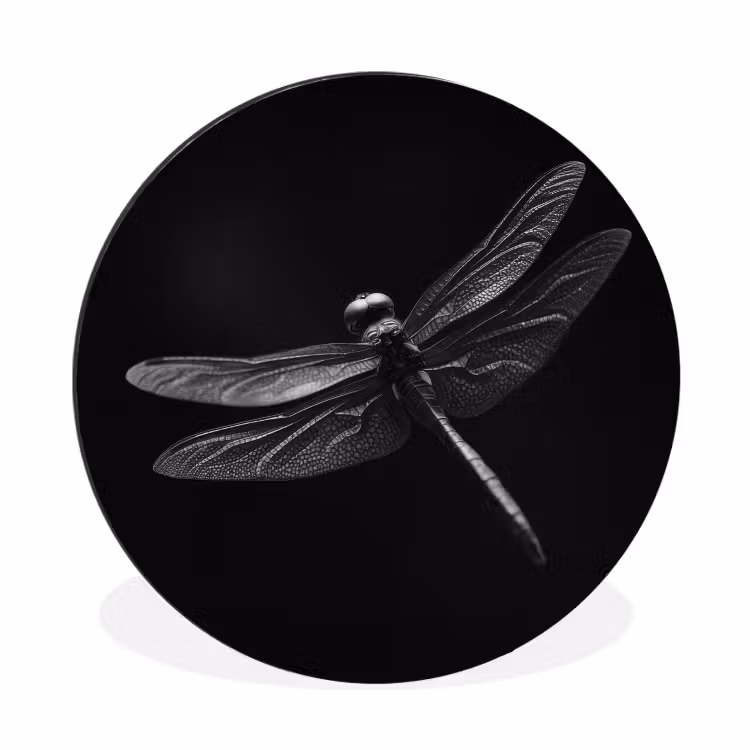 Wandcirkel - Aluminium - Libelle - Dieren - Zwart - Insect — 1