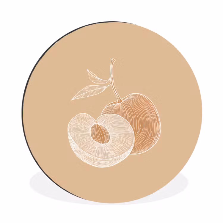 Wandcirkel - Aluminium - Perzik - Lijntekening - Pit - Beige — 1