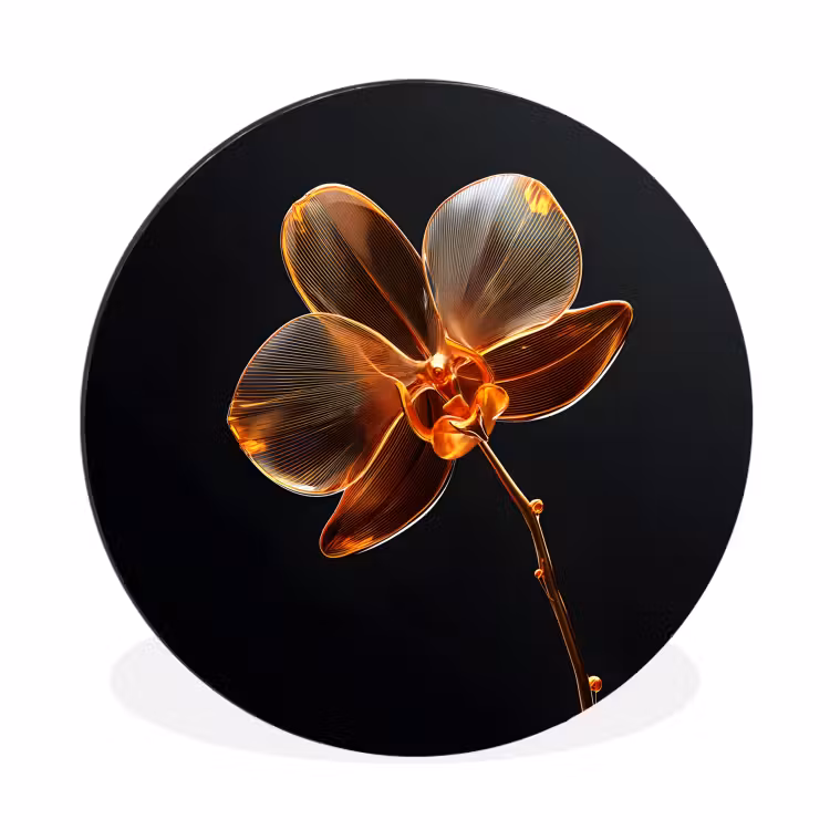 Wandcirkel - Aluminium - Orchidee - Doorzichtig - Bloem — 1