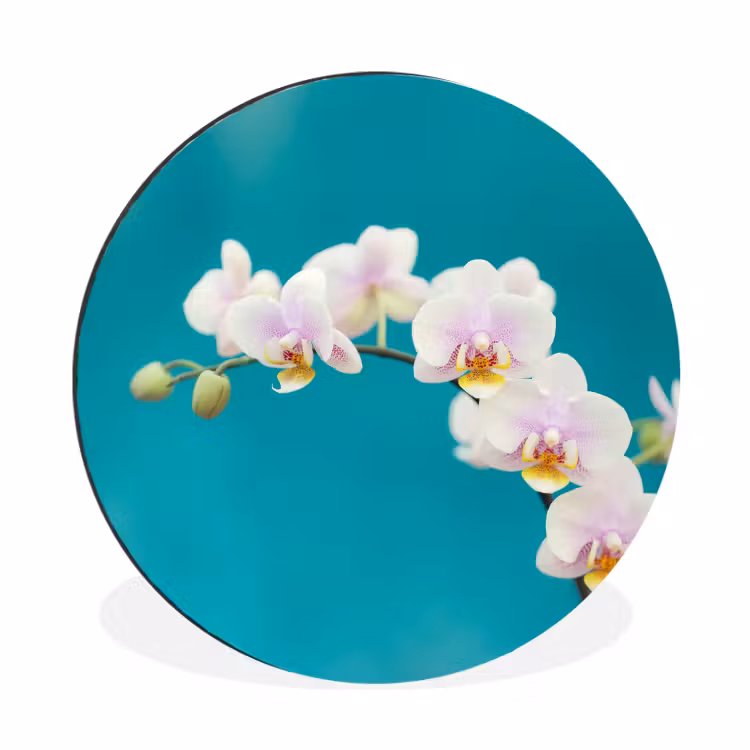 Wandcirkel - Aluminium - Orchidee - Bloemen - Plant - Wit - Paars — 1
