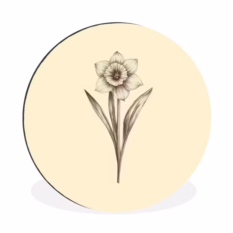 Wandcirkel - Aluminium - Zwart - Narcis - Illustratie — 1