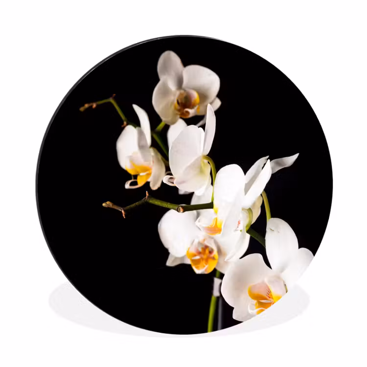 Wandcirkel - Aluminium - Orchidee - Bloemen - Planten - Botanisch — 1