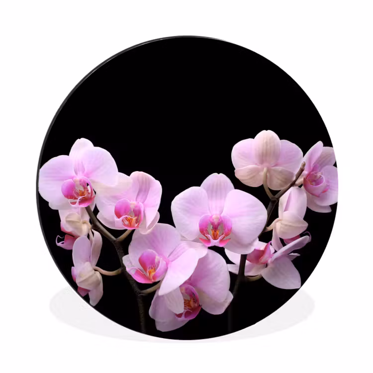 Wandcirkel - Aluminium - Orchidee - Bloemen - Roze - Flora — 1