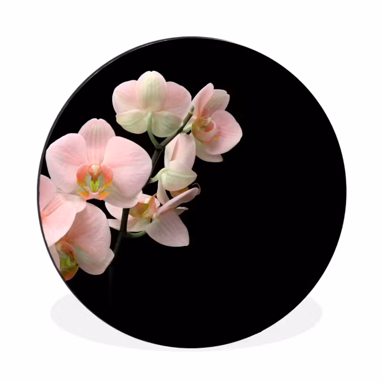 Wandcirkel - Aluminium - Orchidee - Bloemen - Roze - Stilleven - Flora — 1