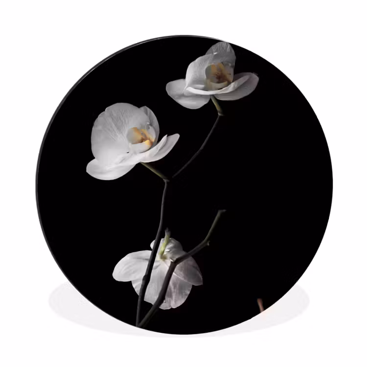 Wandcirkel - Aluminium - Orchidee - Bloemen - Zwart - Wit - Stilleven — 1