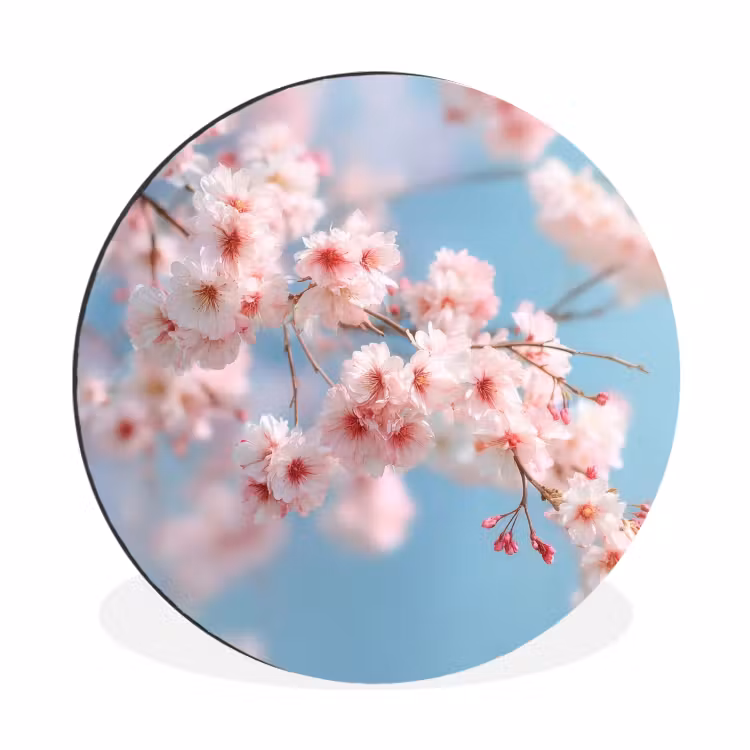 Wandcirkel - Aluminium - Takken - Bloesems - Roze — 1