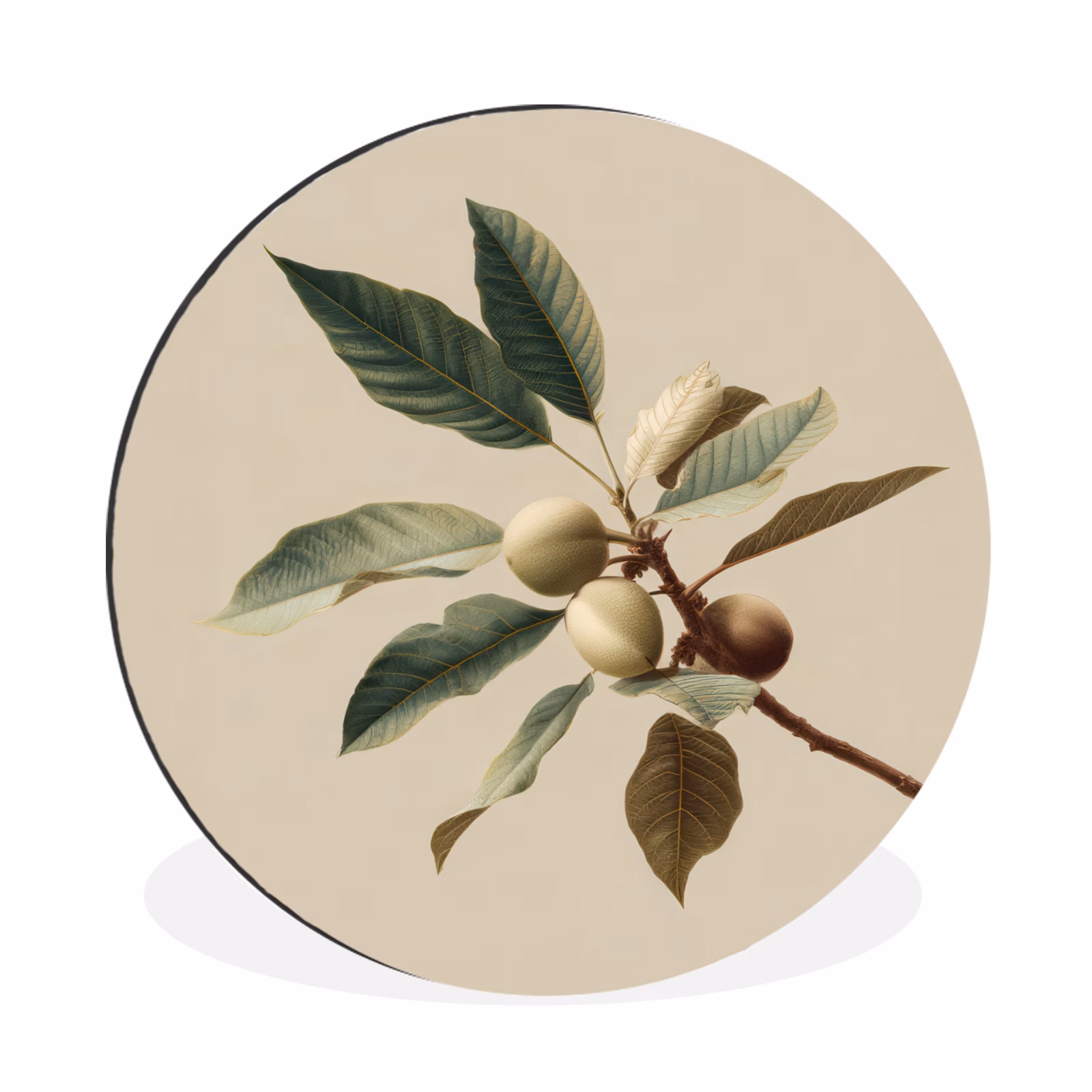 Wandcirkel - Aluminium - Tak - Groene Bladeren - Vruchten — 1