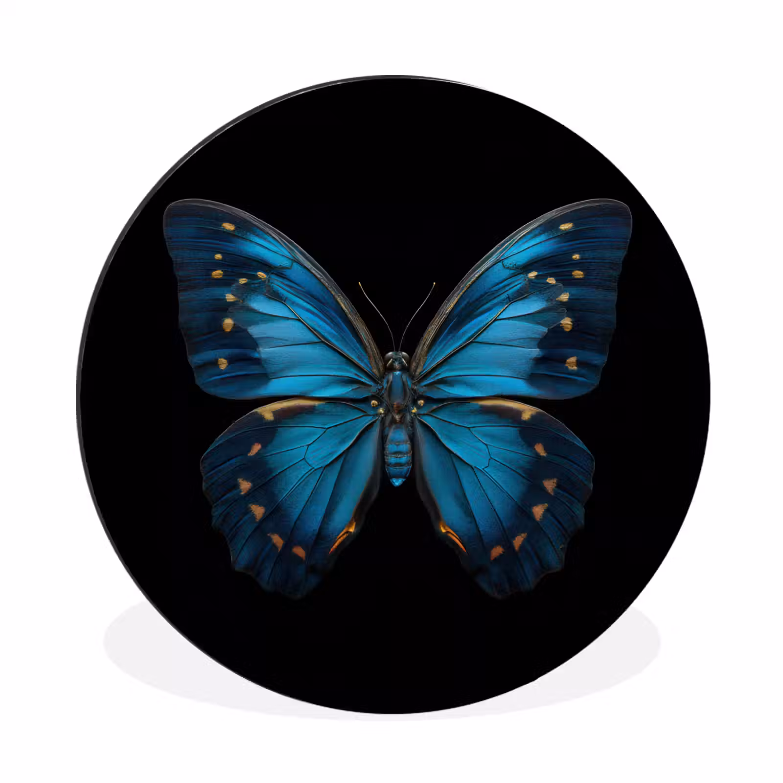 Wandcirkel - Aluminium - Vlinder - Blauw - Contrast — 1