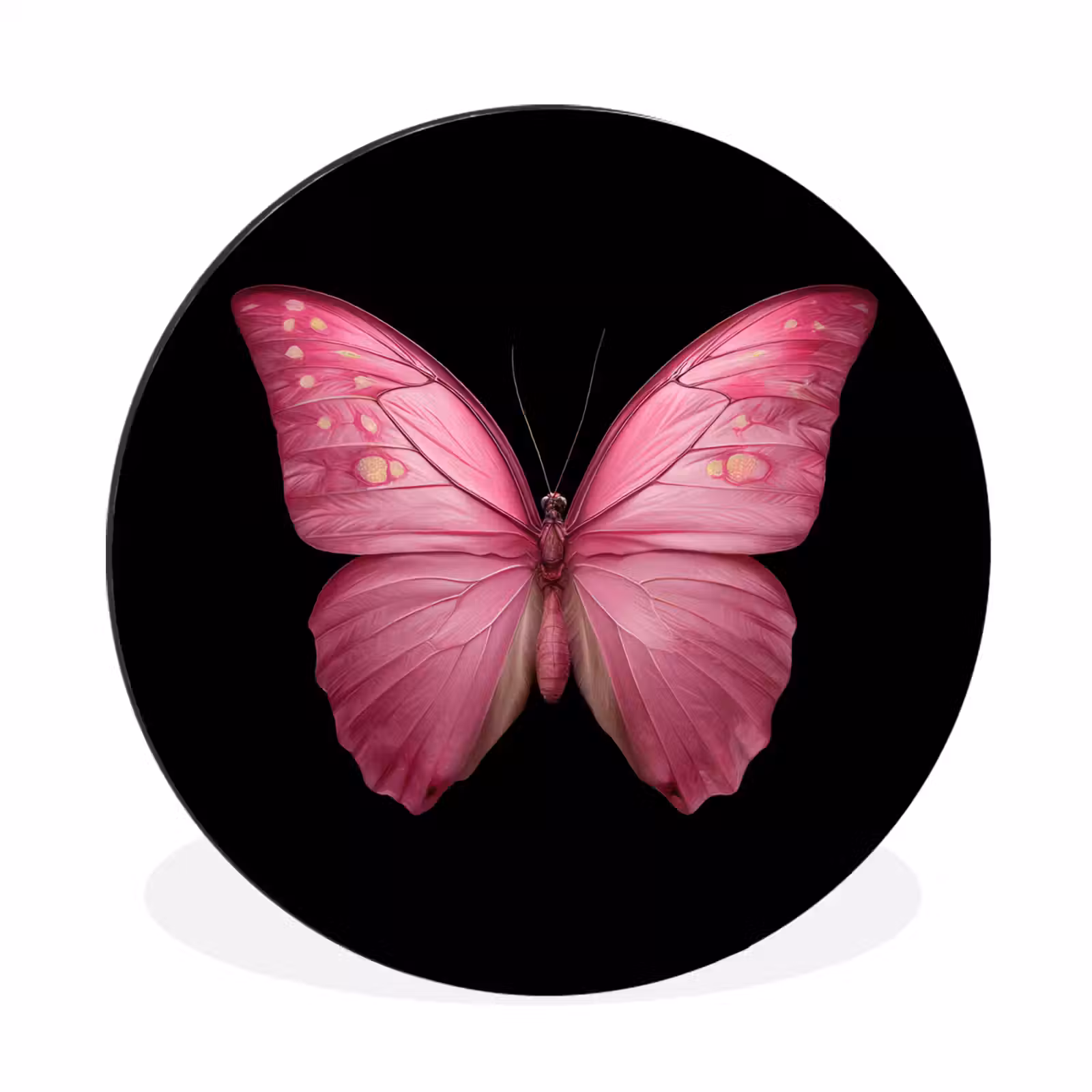 Wandcirkel - Aluminium - Vlinder - roze - Elegant — 1