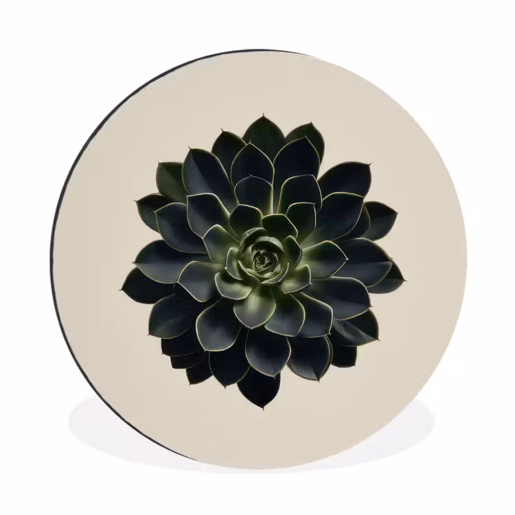 Wandcirkel - Aluminium - Rozet - Cirkelvormig - Donkergroen — 1