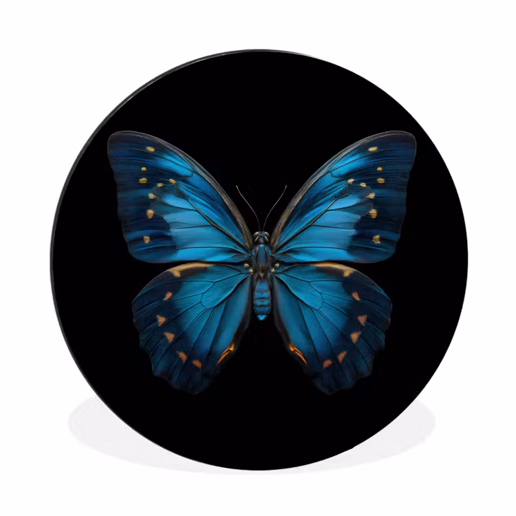 Wandcirkel - Aluminium - Vlinder - Blauw - Contrast — 1
