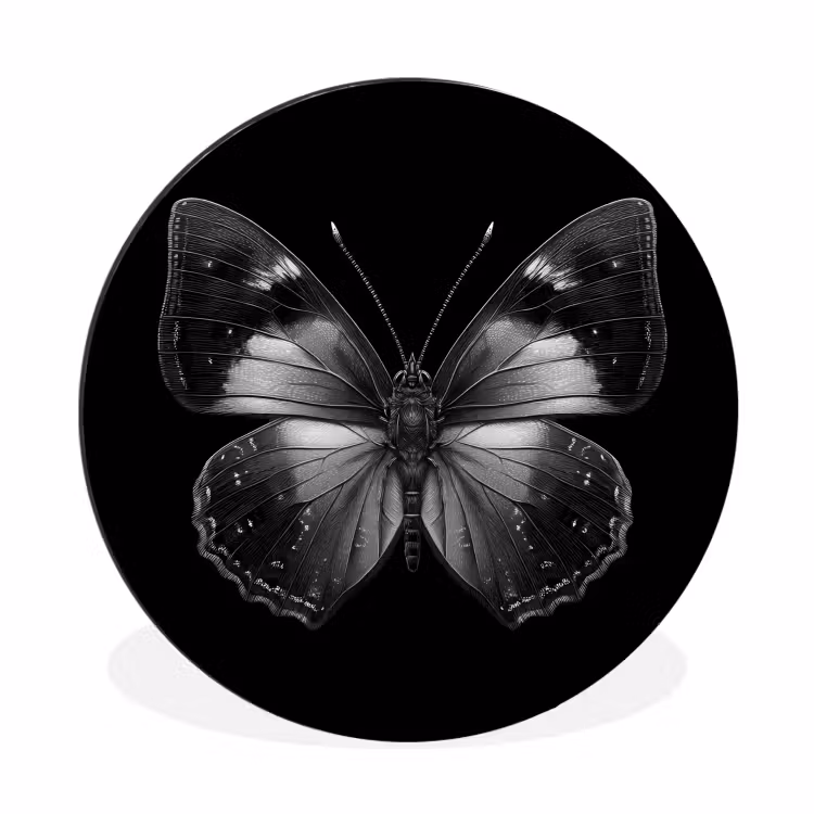 Wandcirkel - Aluminium - Vlinder - Grijs - Mysterieus — 1