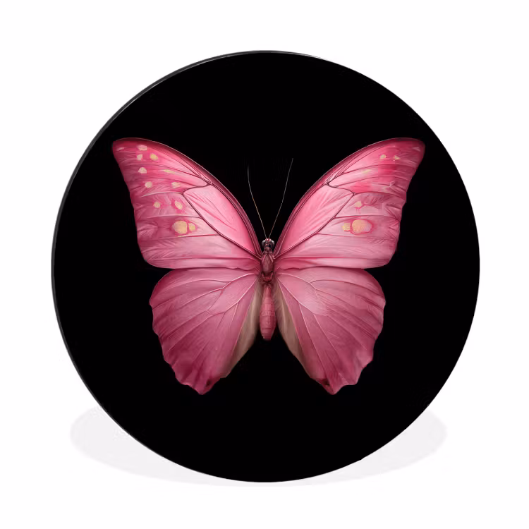 Wandcirkel - Aluminium - Vlinder - roze - Elegant — 1