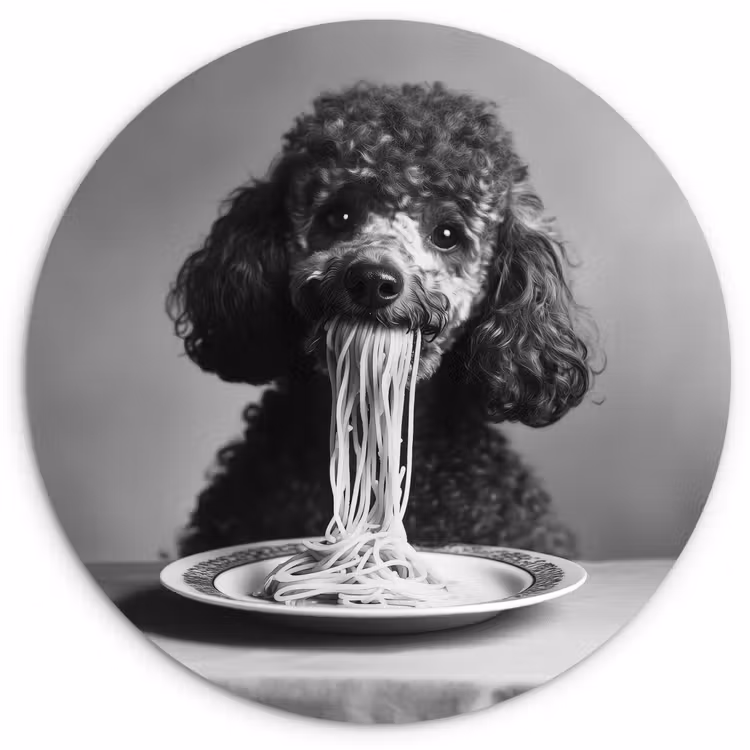 Wandcirkel - Glas - Poedel - Hond - Zwart - Wit - Schattig - Pasta — 1