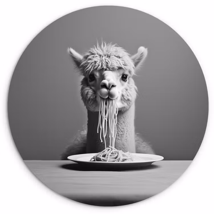 Wandcirkel - Glas - Alpaca - Pasta - Zwart - Wit - Grappig - Dieren — 1