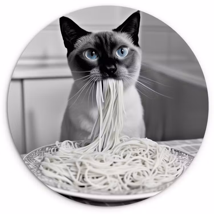 Wandcirkel - Glas - Kat - Siamees - Zwart Wit - Schattig - Dieren — 1