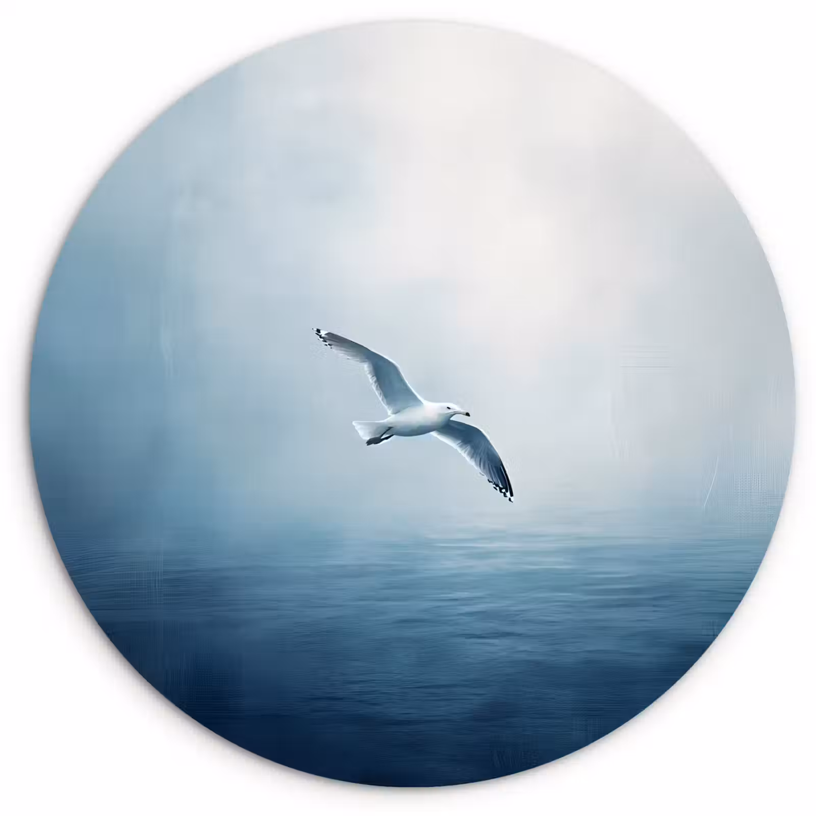 Wandcirkel - Glas - Meeuw - Wit - Zee - Mistig — 1