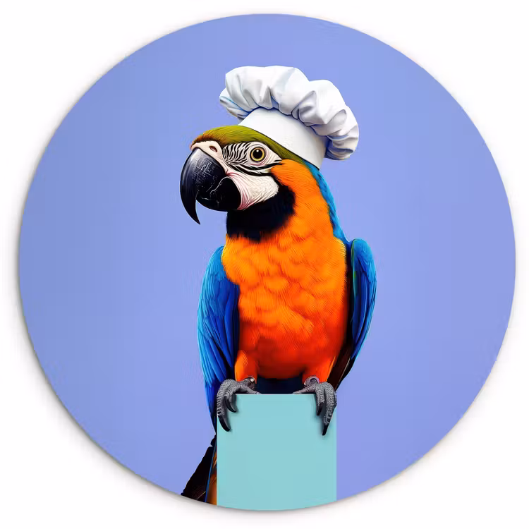 Wandcirkel - Glas - Papegaai - Koksmuts - Vogel - Leuk — 1