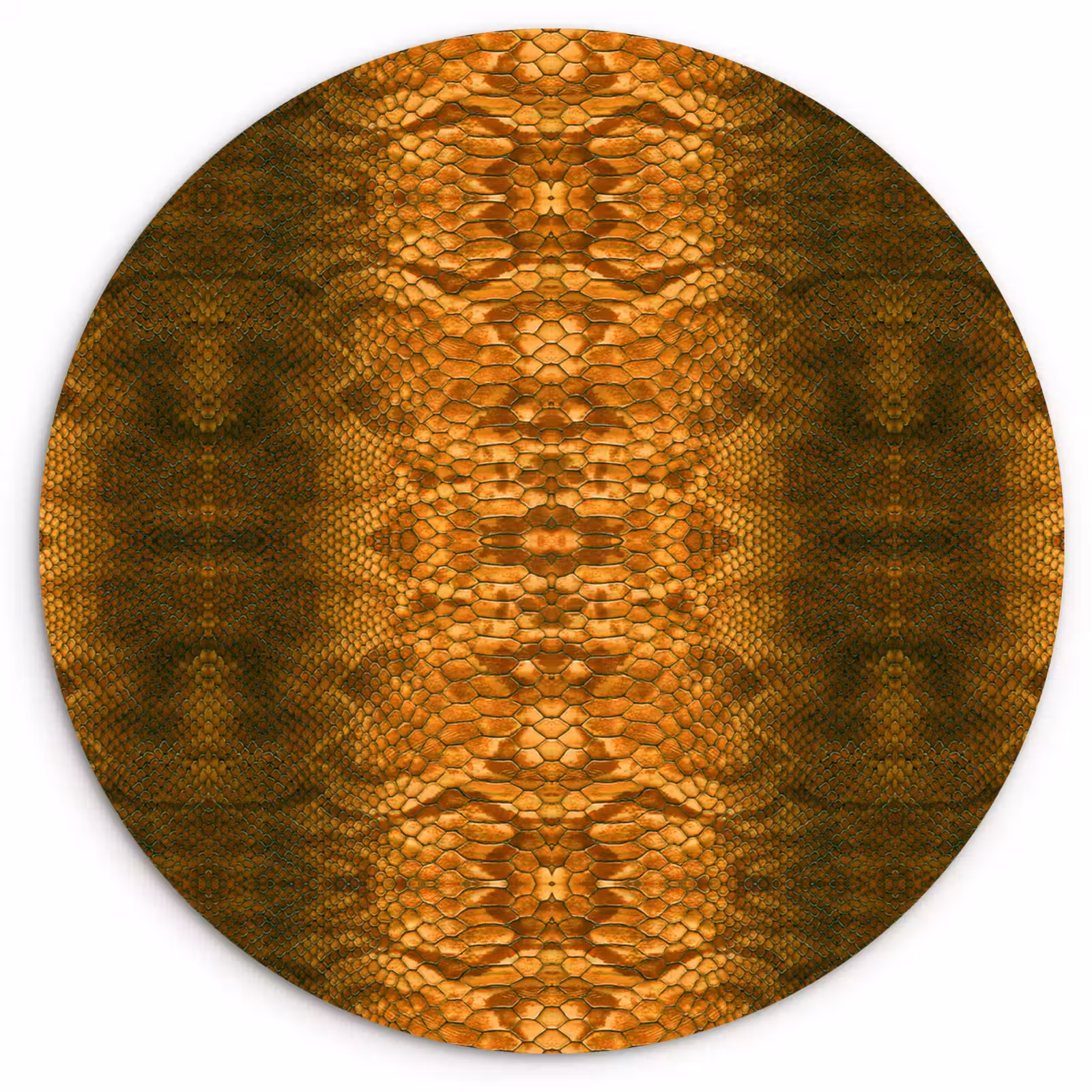 Wandcirkel - Glas - Slang - Boa - Amber — 1