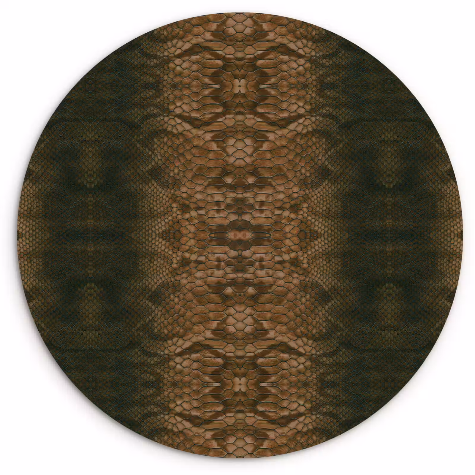 Wandcirkel - Glas - Slang - Boa - Bruin — 1