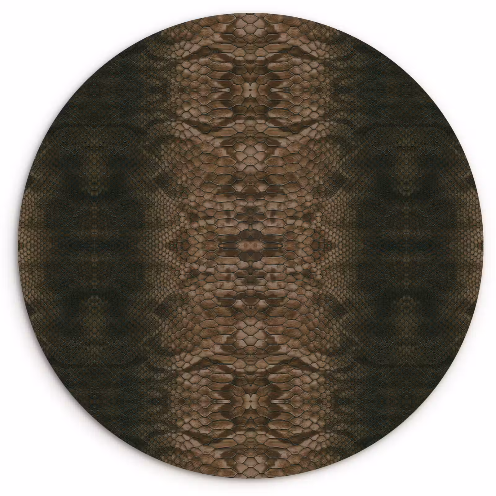 Wandcirkel - Glas - Slang - Boa - Diep - Bruin — 1