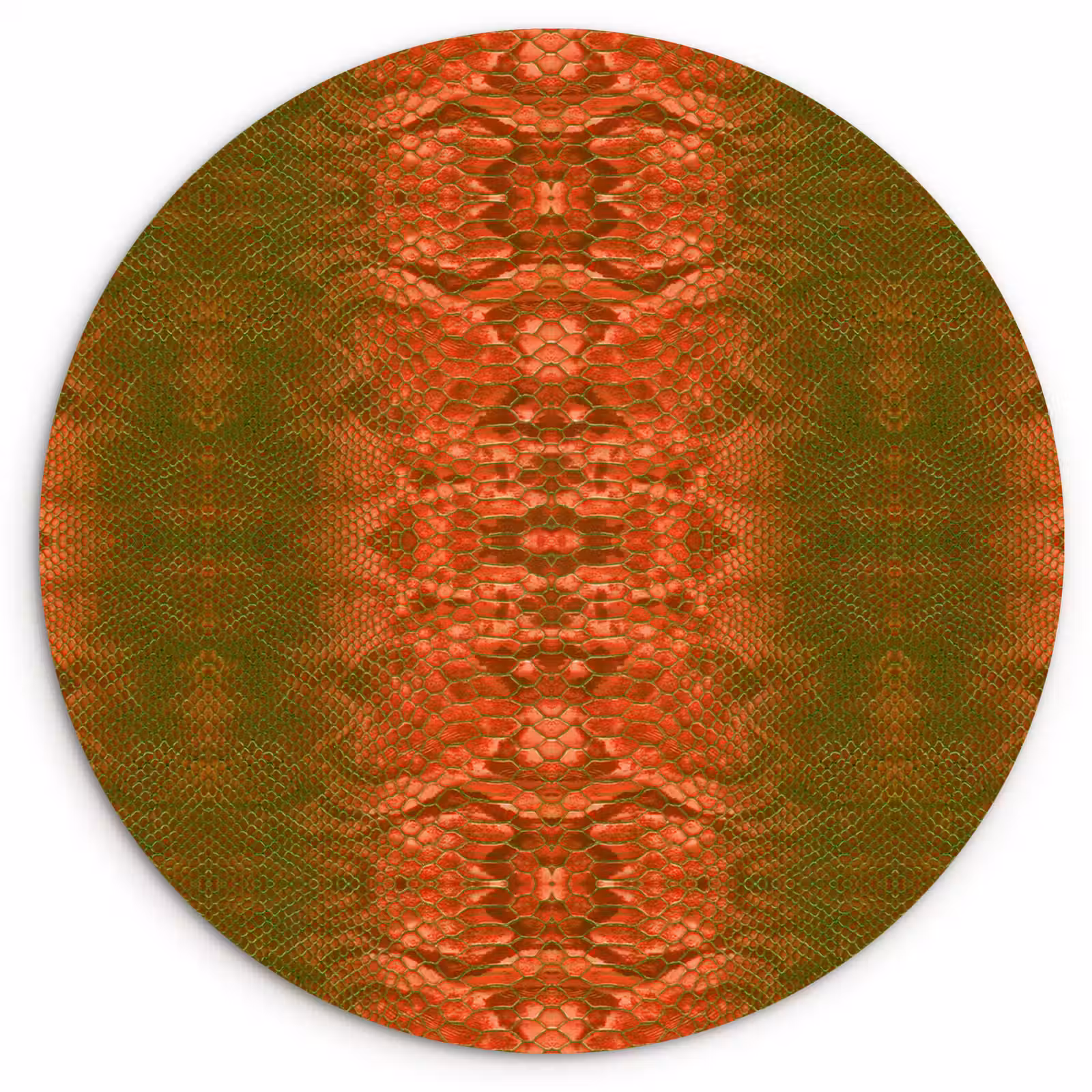 Wandcirkel - Glas - Slang - Boa - Rood - Groen — 1