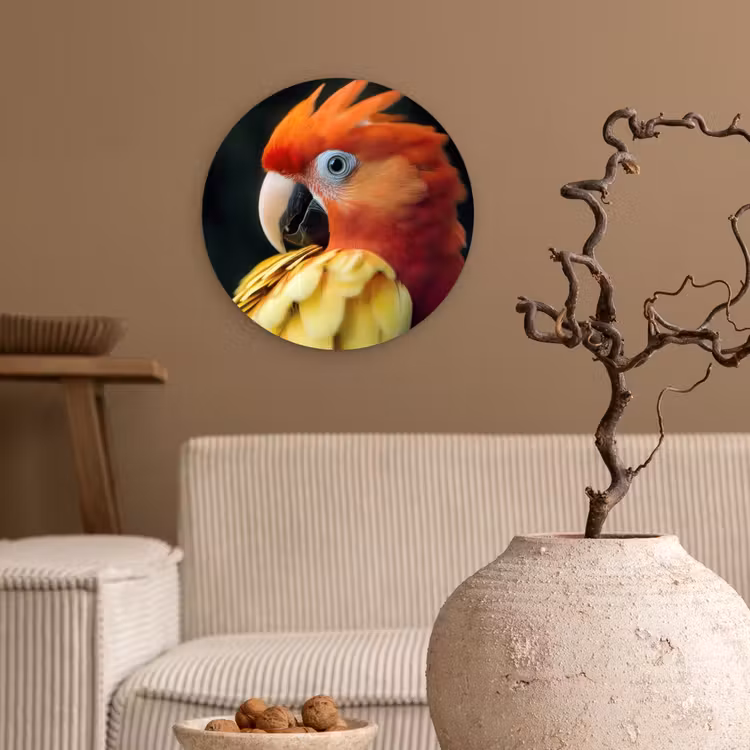 Wandcirkel - Glas - Close-up - Papegaai - Veren - Oranje — 2
