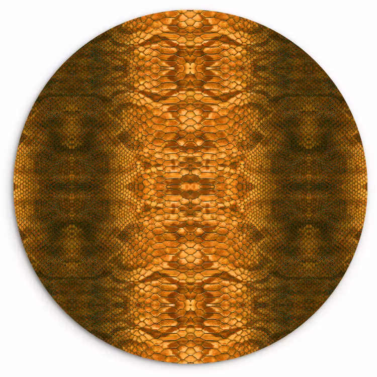 Wandcirkel - Glas - Slang - Boa - Amber — 1