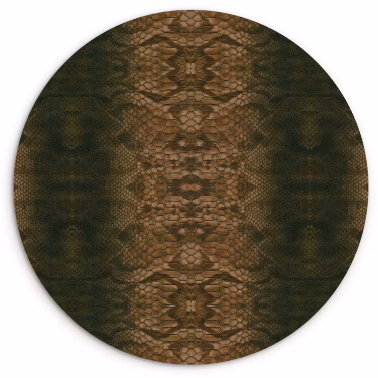 Wandcirkel - Glas - Slang - Boa - Bruin — 1