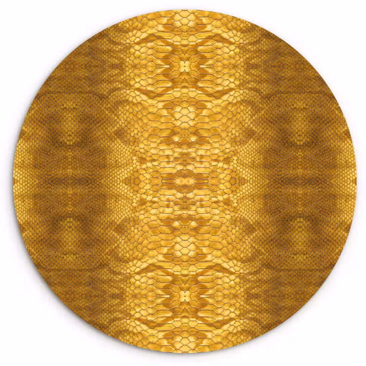Wandcirkel - Glas - Slang - Boa - Goud - Geel — 1