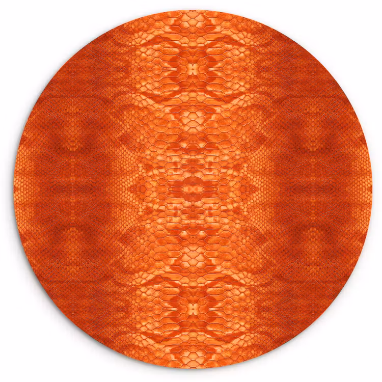 Wandcirkel - Glas - Slang - Boa - Oranje — 1
