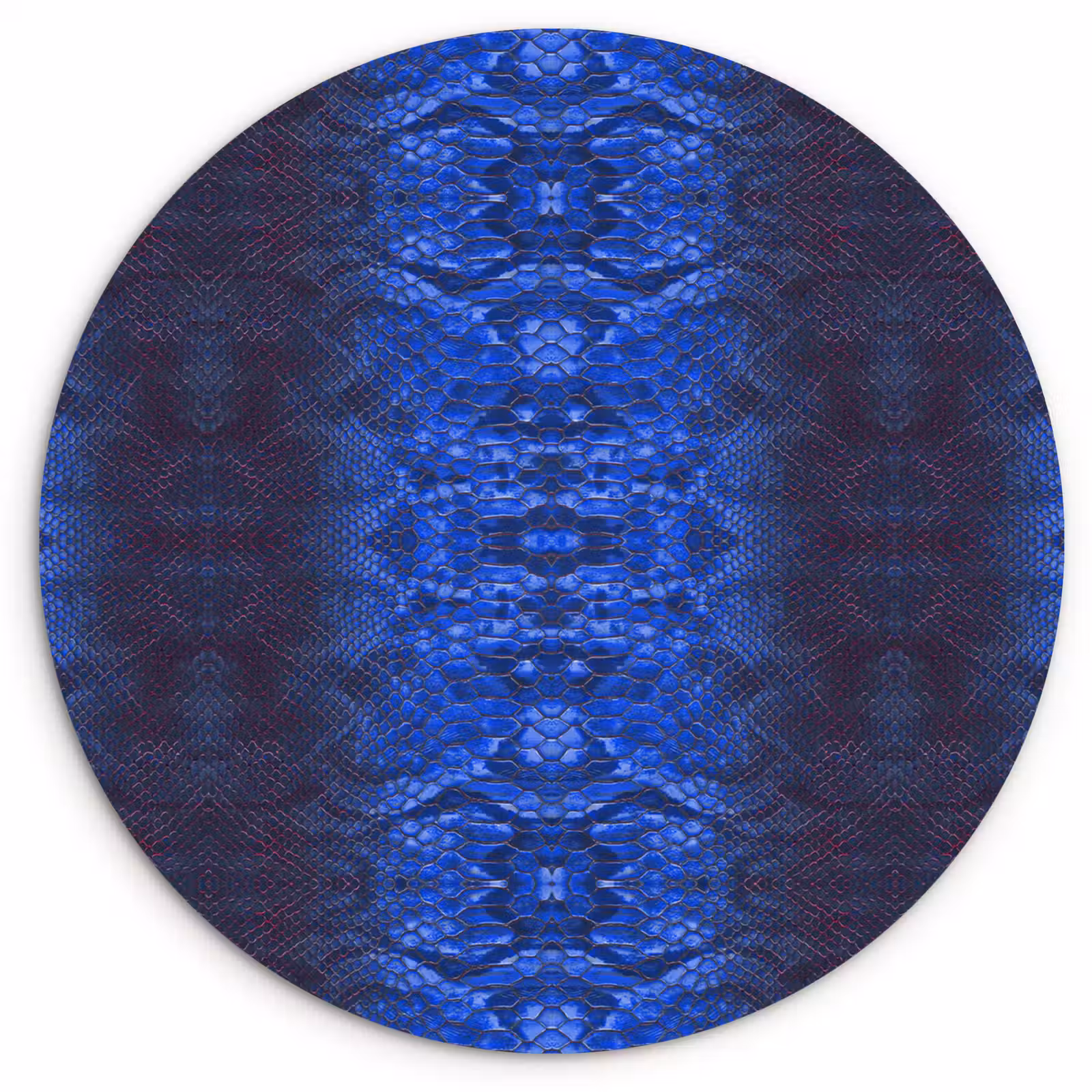 Wandcirkel - Glas - Slang - Boa - Blauw - Rood — 1
