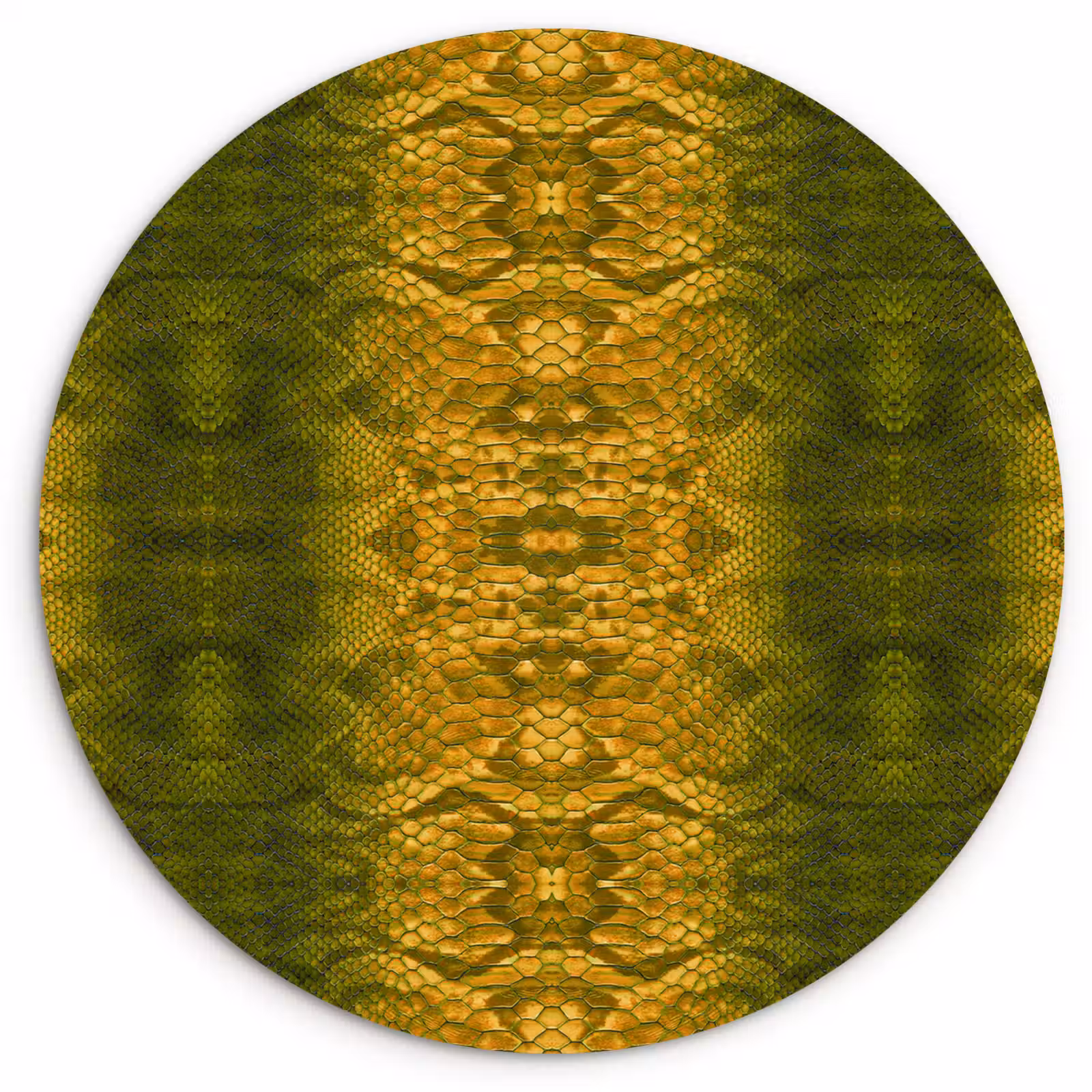 Wandcirkel - Glas - Slang - Boa - Geel - Groen — 1