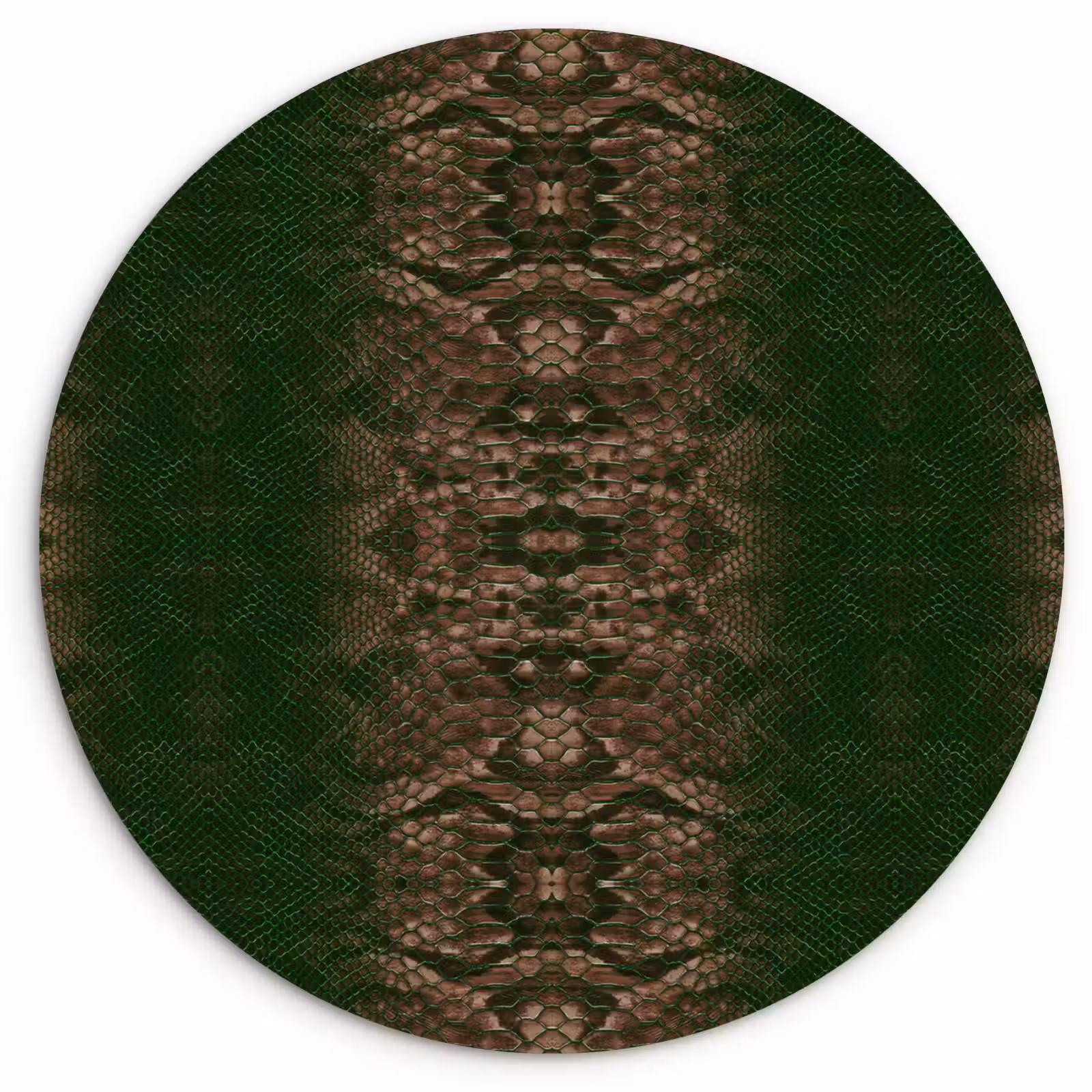 Wandcirkel - Glas - Slang - Boa - Groen - Bruin — 1
