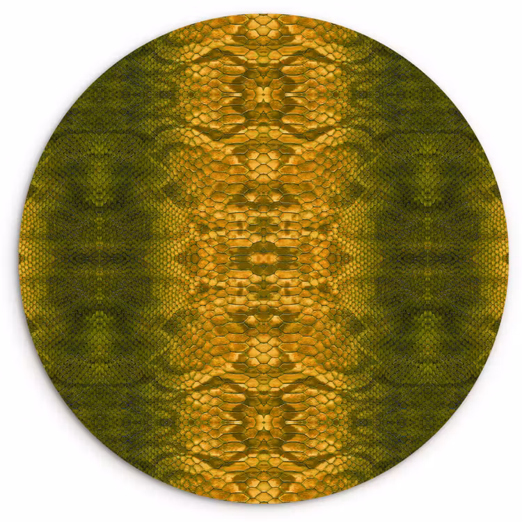 Wandcirkel - Glas - Slang - Boa - Geel - Groen — 1