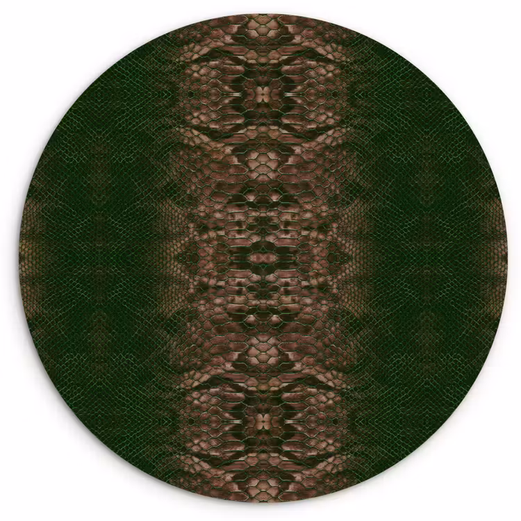 Wandcirkel - Glas - Slang - Boa - Groen - Bruin — 1