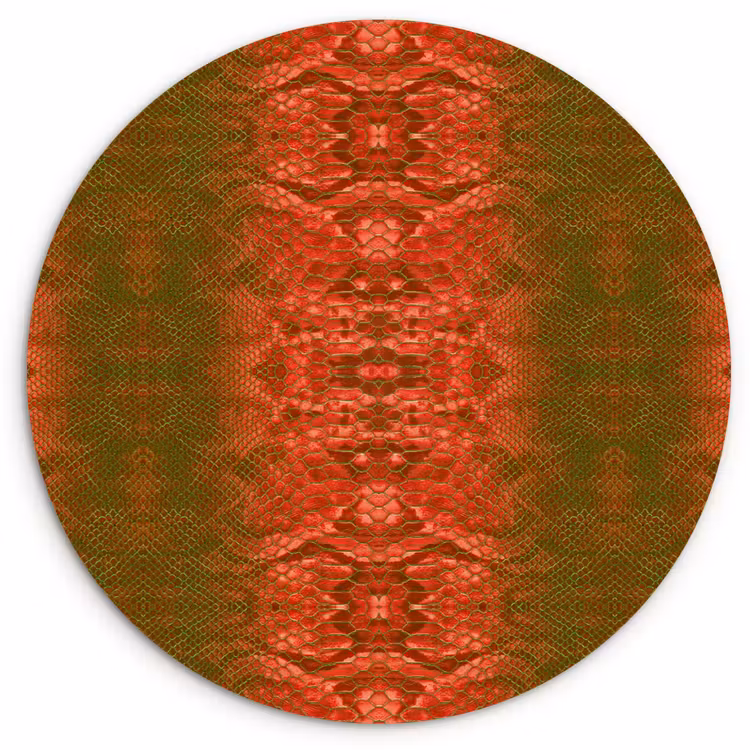 Wandcirkel - Glas - Slang - Boa - Groen - Rood — 1