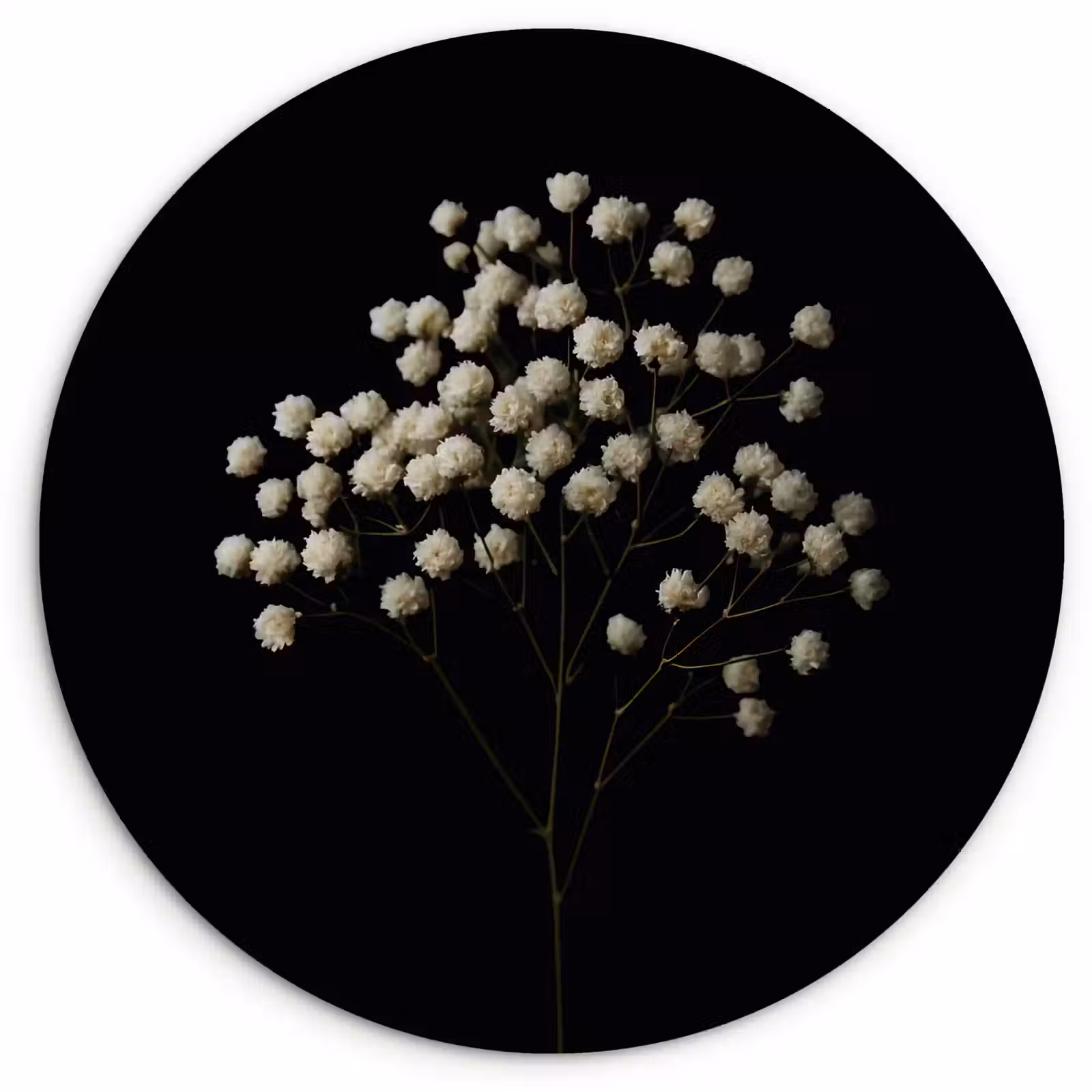 Wandcirkel - Glas - Gipskruid - Bloemetjes - Wit - Minimalistisch — 1