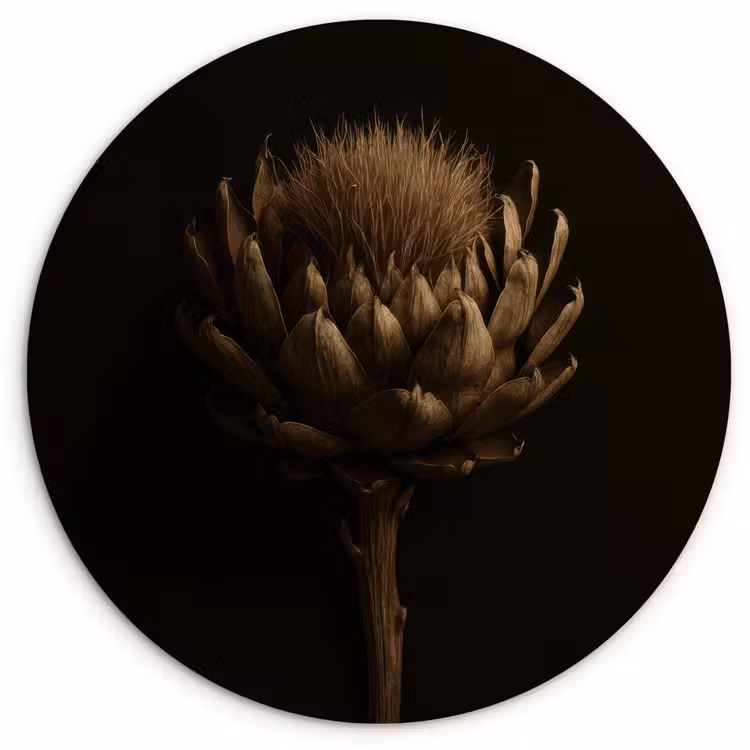 Wandcirkel - Glas - Donkerbruin - Bloem - Textuur - Artisjok — 1