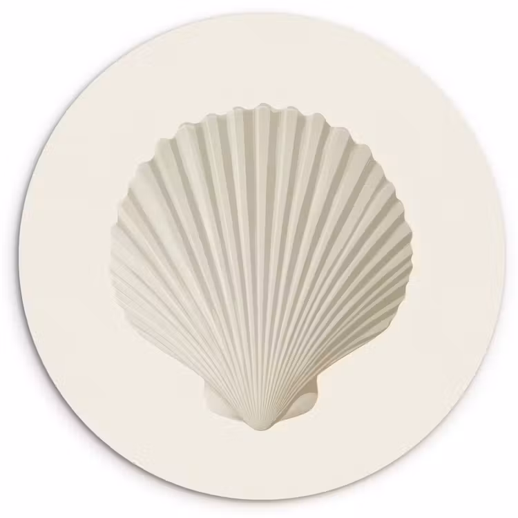 Wandcirkel - Glas - Schelp - Minimalistisch - Wit — 1